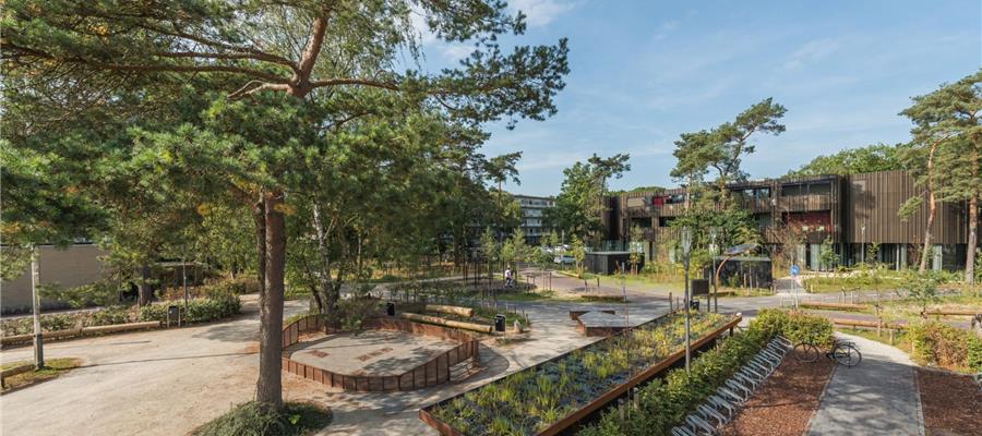 Tuinconstructies - A&F Metaalconstructies Essen