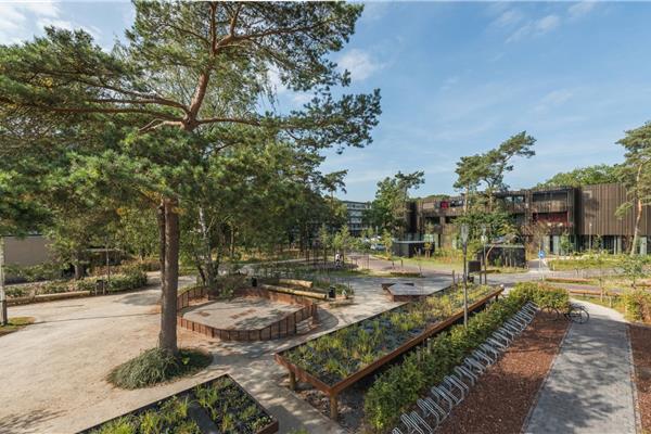 Tuinconstructies - A&F Essen